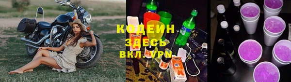 гашик Каменногорск