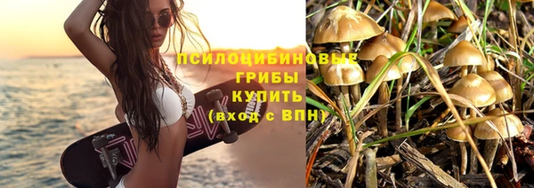 PSILOCYBIN Каменка