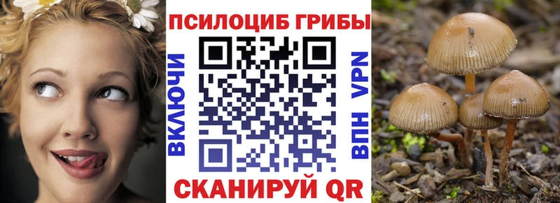 hydra зеркало  Буинск  Галлюциногенные грибы Cubensis 